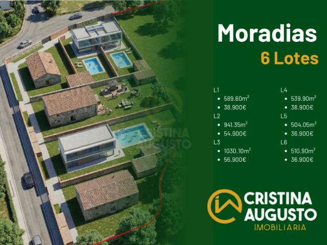 Castelo Branco Castelo Branco 6000 98218003