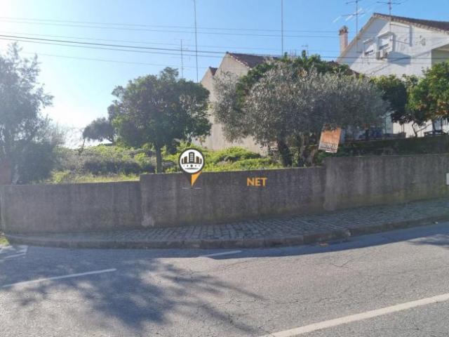 Castelo Branco Castelo Branco 6000 98330040
