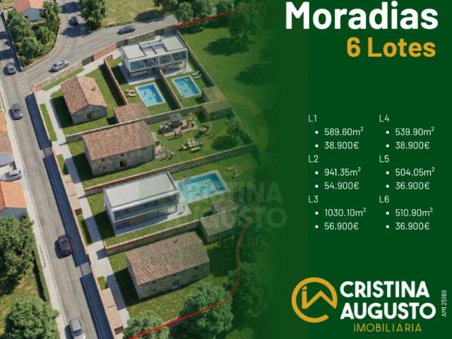Castelo Branco Castelo Branco 6000 98394599