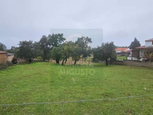 Castelo Branco Castelo Branco 6000 99721026