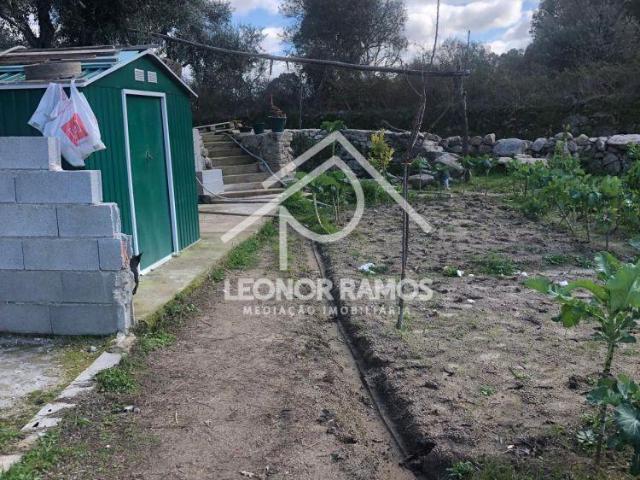 Castelo Branco Castelo Branco 6000 99825465