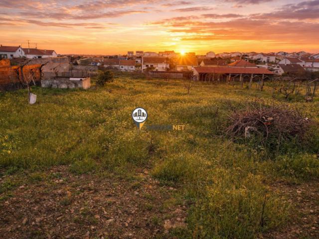 Castelo Branco Castelo Branco 6000 99934157
