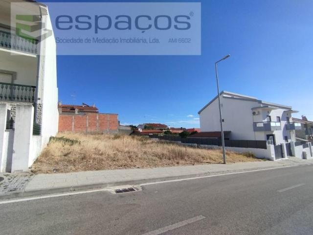 Castelo Branco Castelo Branco 88782111