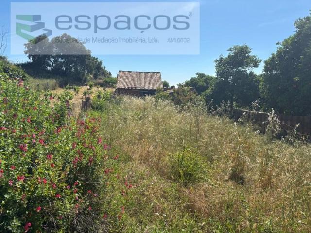 Castelo Branco Castelo Branco 91265145