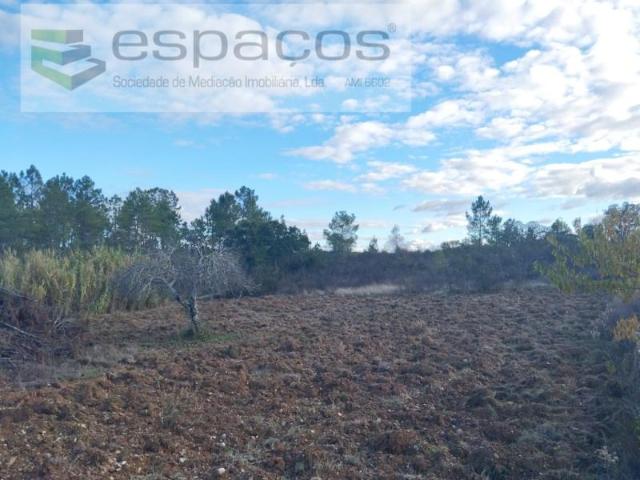 Castelo Branco Castelo Branco 96496101