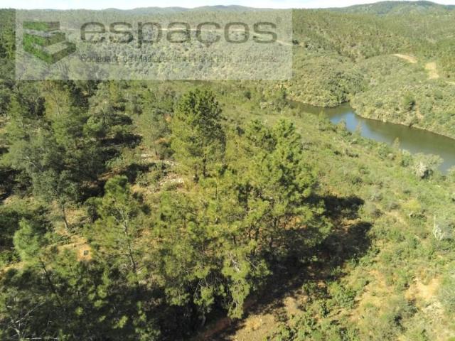 Castelo Branco Castelo Branco 97120751