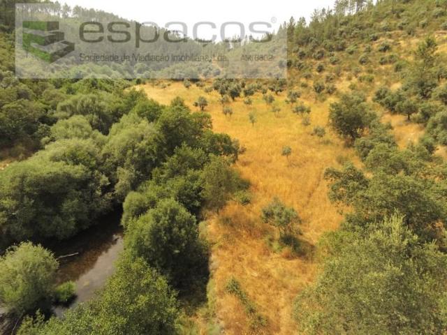 Castelo Branco Castelo Branco 97736502