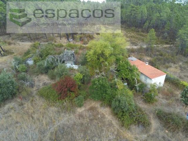 Castelo Branco Castelo Branco 97941672