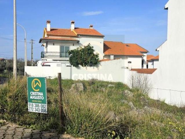 Castelo Branco Castelo Branco 99675759