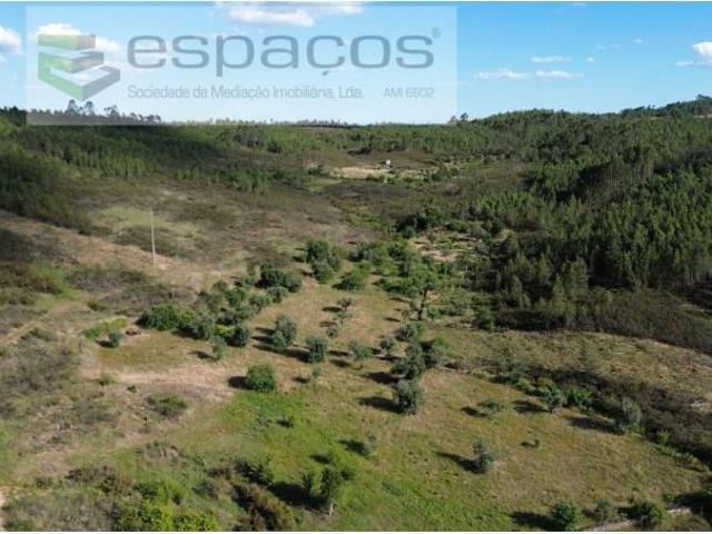 Castelo Branco Castelo Branco 102723244