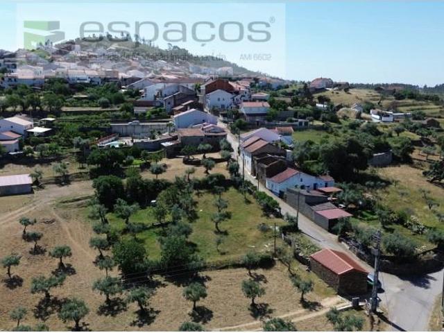 Castelo Branco Castelo Branco 102858949