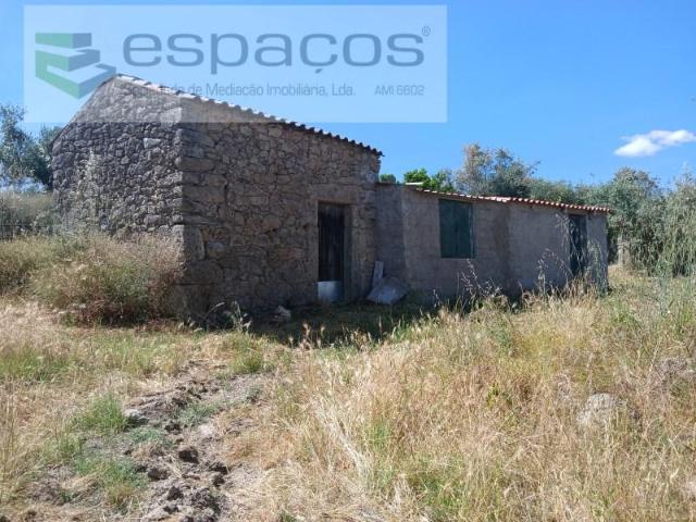 Castelo Branco Castelo Branco 102967024