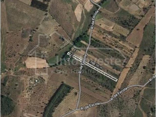 Castelo Branco Castelo Branco LS103378883