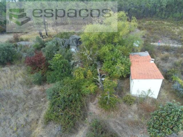 Castelo Branco Castelo Branco 104655935