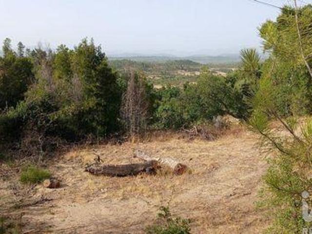 Castelo Branco Castelo Branco LS104977538