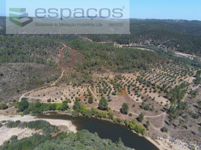 Castelo Branco Castelo Branco 104995009