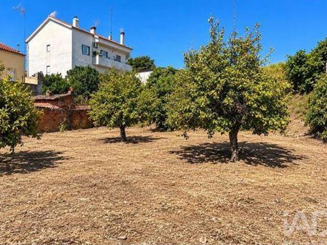 Castelo Branco Castelo Branco 105547028