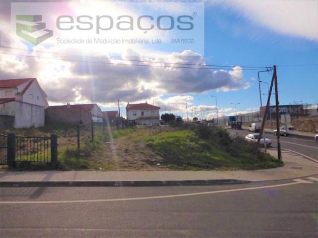 Castelo Branco Castelo Branco 105780466