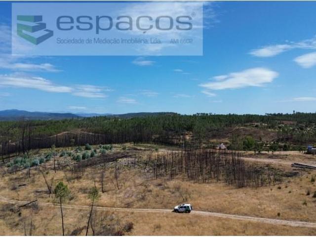 Castelo Branco Castelo Branco LS105058534