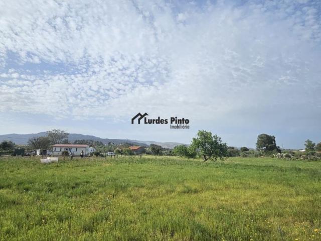 Castelo Branco Fundão 6005 102467788