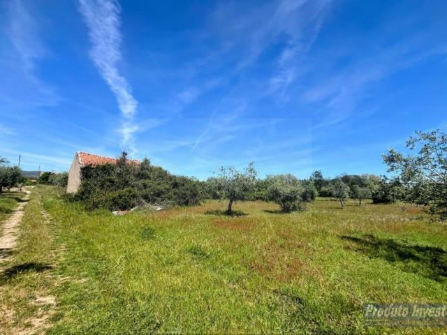 Castelo Branco Fundão 6230 101638737