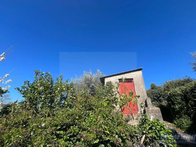 Castelo Branco Fundão 6230 101300541