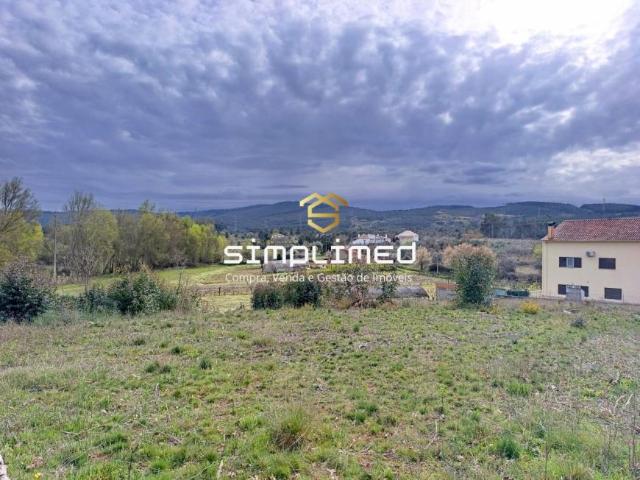 Castelo Branco Fundão 6230 105394145