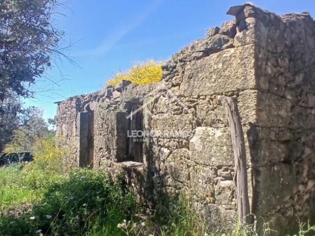 Castelo Branco Idanha 6060 102018496