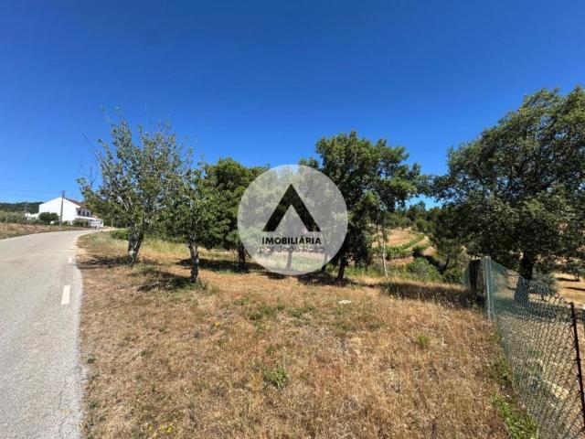Castelo Branco Proença 6150 103060375