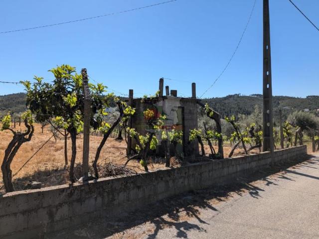 Castelo Branco Sertã 6100 100941251