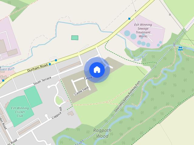 Castle Field, Esh Winning, Durham