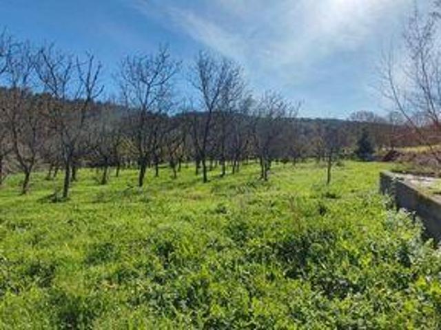 Castro Daire Viseu 105228492