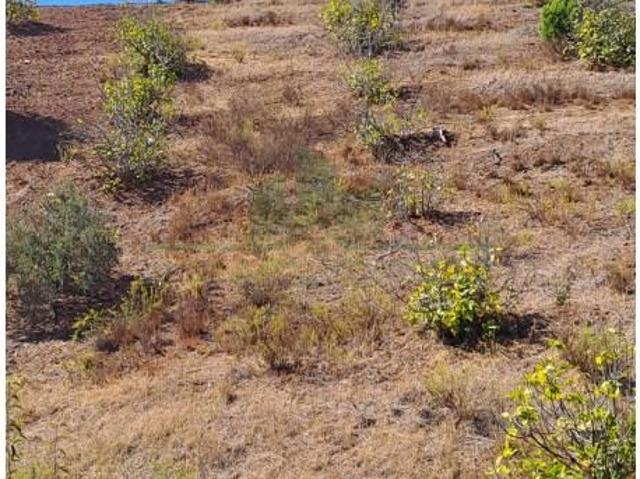 Castro Marim Castro Marim 103943040