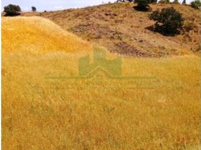 Castro Marim Castro Marim 103977037
