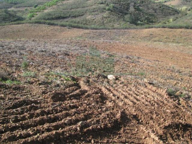 Castro Marim Castro Marim 103977034