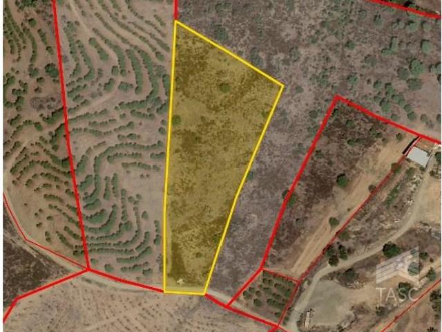 Castro Marim Castro Marim 105349690