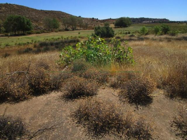 Castro Marim Castro Marim 97124444