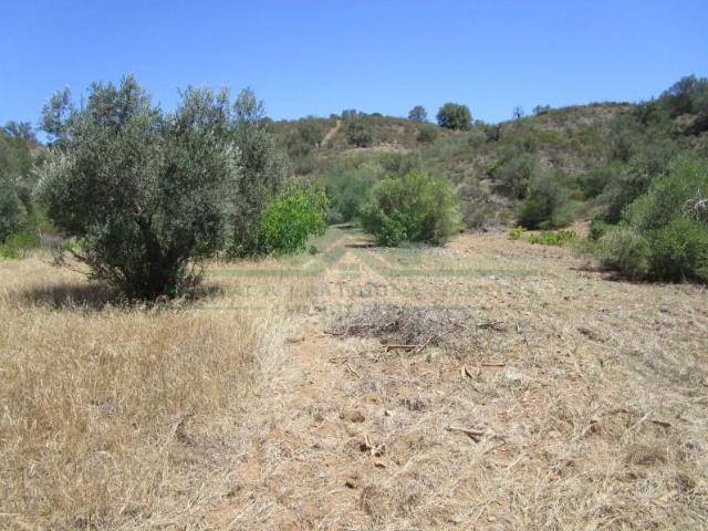 Castro Marim Castro Marim 99110591