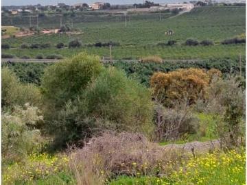 Castro Marim Castro Marim 99296741