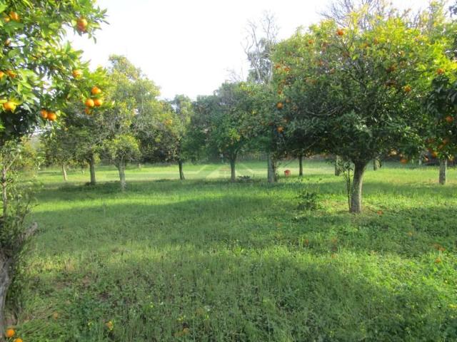 Castro Marim Castro Marim LS93457222