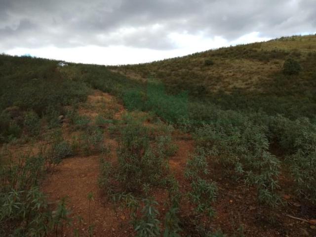 Castro Marim Castro Marim LS93725493