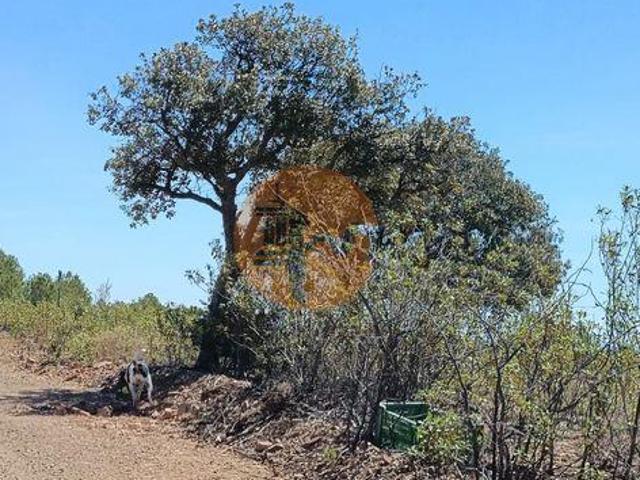 Castro Marim Faro 96316222