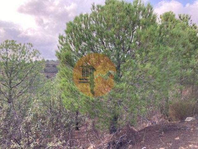Castro Marim Faro 91076055
