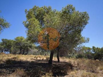 Castro Marim Faro 8950 000 96329707