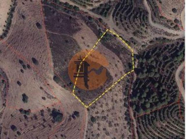 Castro Marim Faro 8950 000 105647399