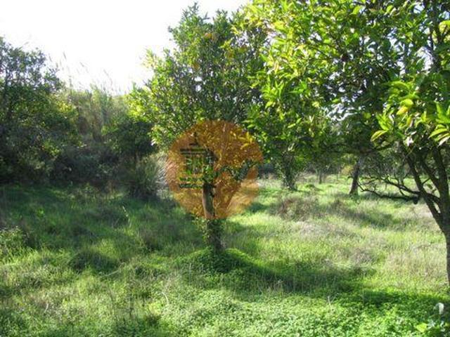 Castro Marim Faro 8950 189 96319500