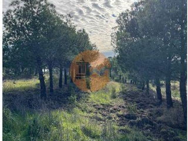 Castro Marim Faro 100365986