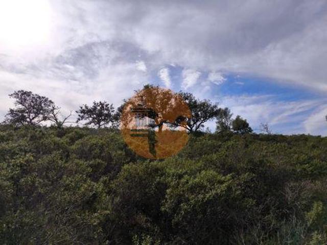 Castro Marim Faro 98864087