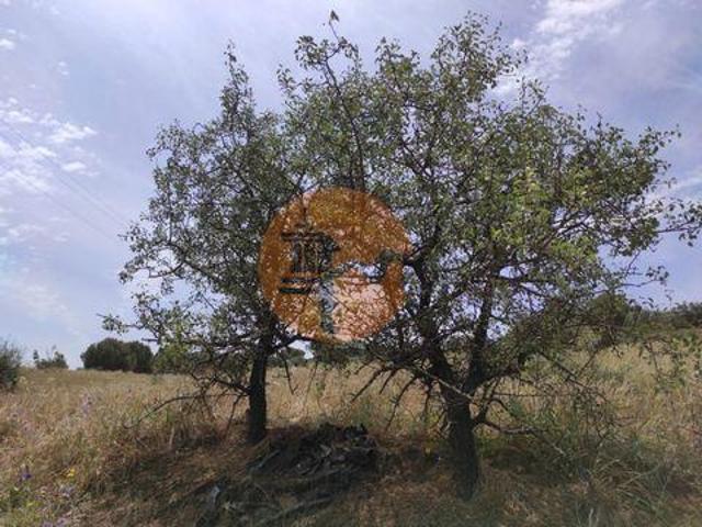 Castro Marim Faro 8950 258 104260881