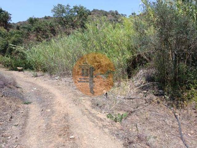 Castro Marim Faro LS96316242